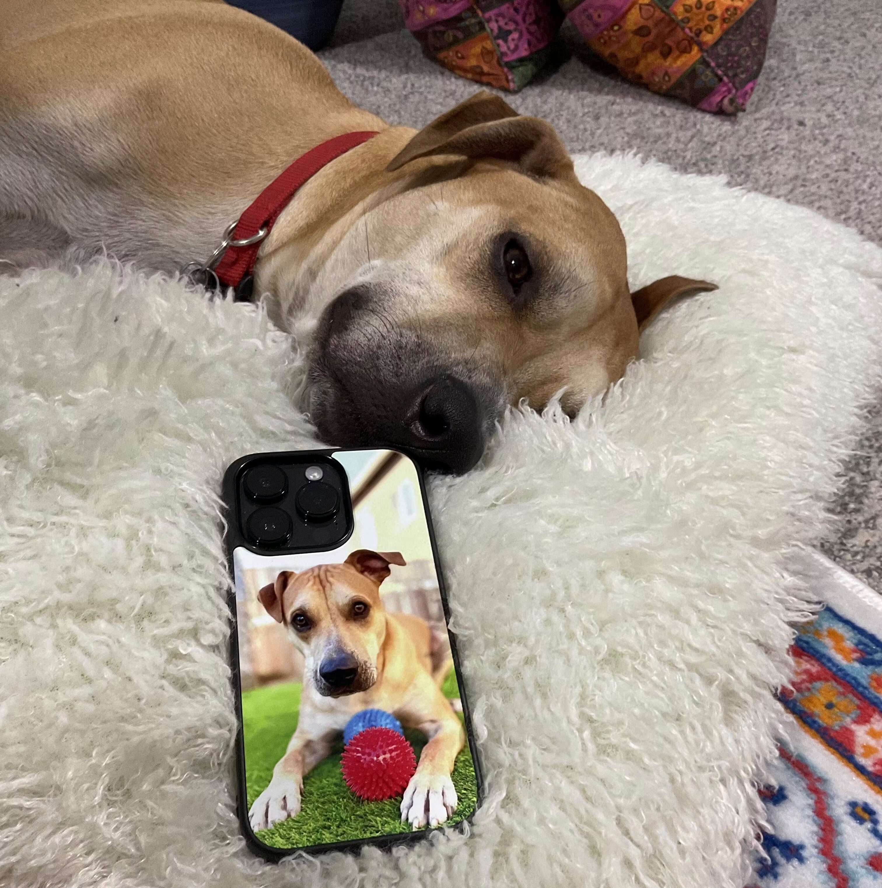 Custom Apple iPhone Case with a dog and his toys.